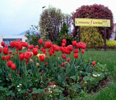 Cartelli stradali Comuni Fioriti