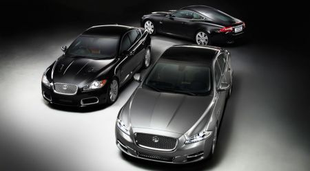 Jaguar ibride