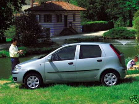 punto_natural_power_fiat.jpg