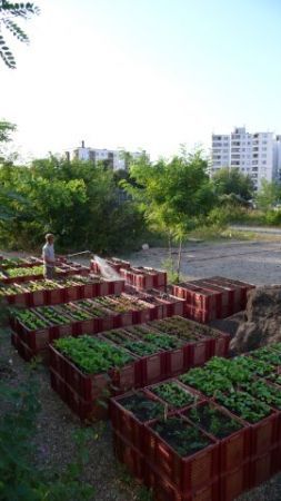 Smart Urban Stage Berlino - I giardini delle principesse
