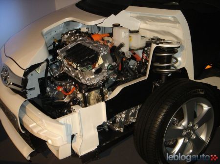 auris
