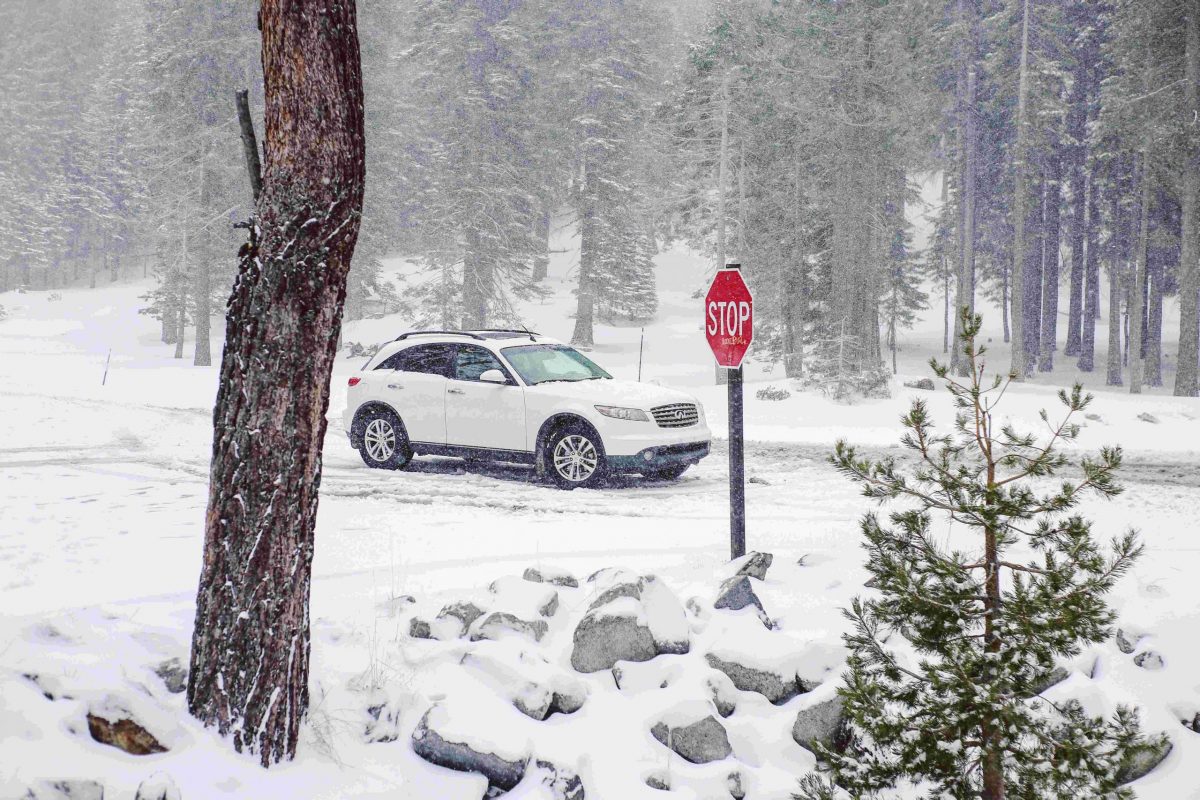 Guida sulla neve
