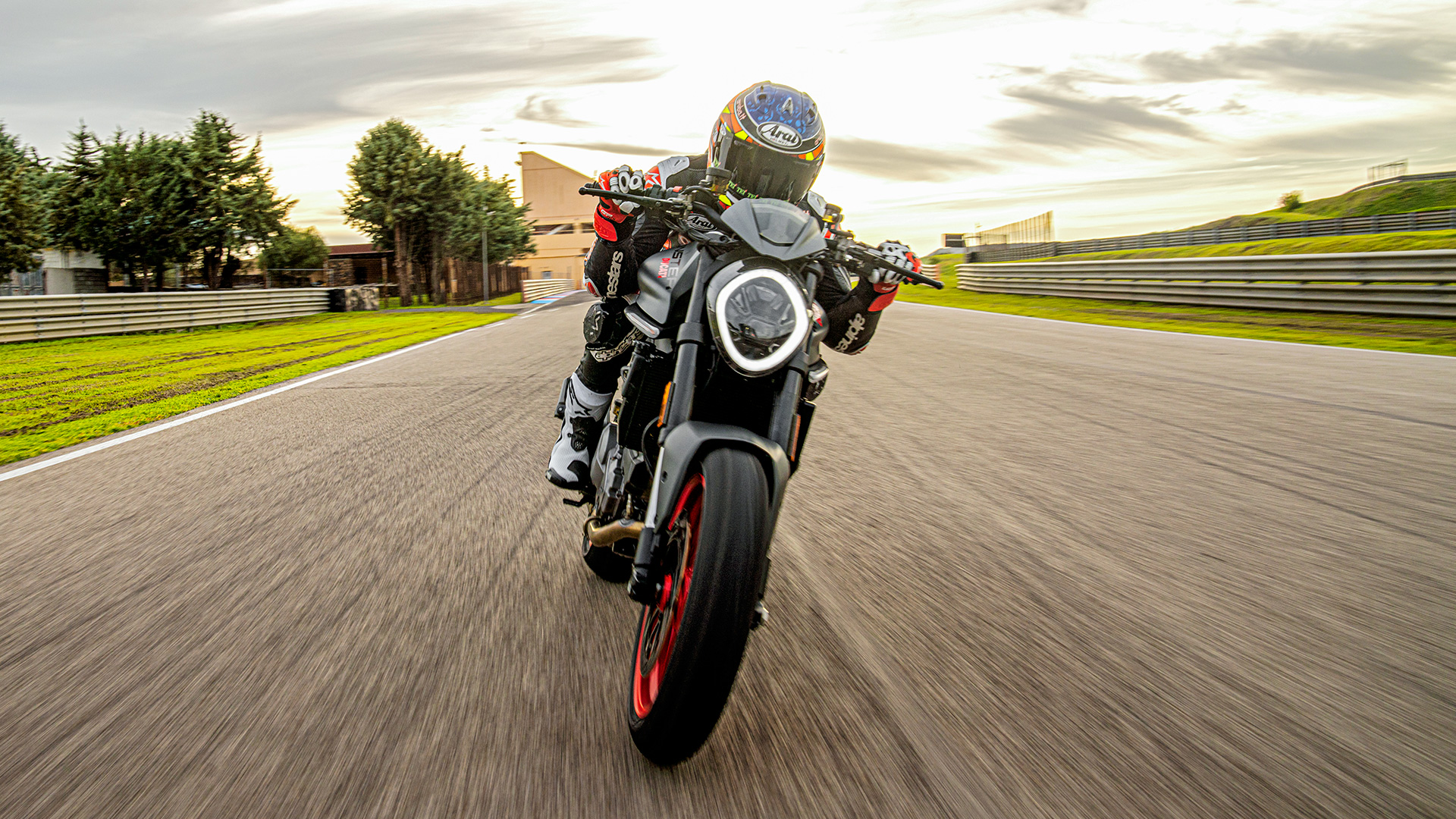 ducati monster