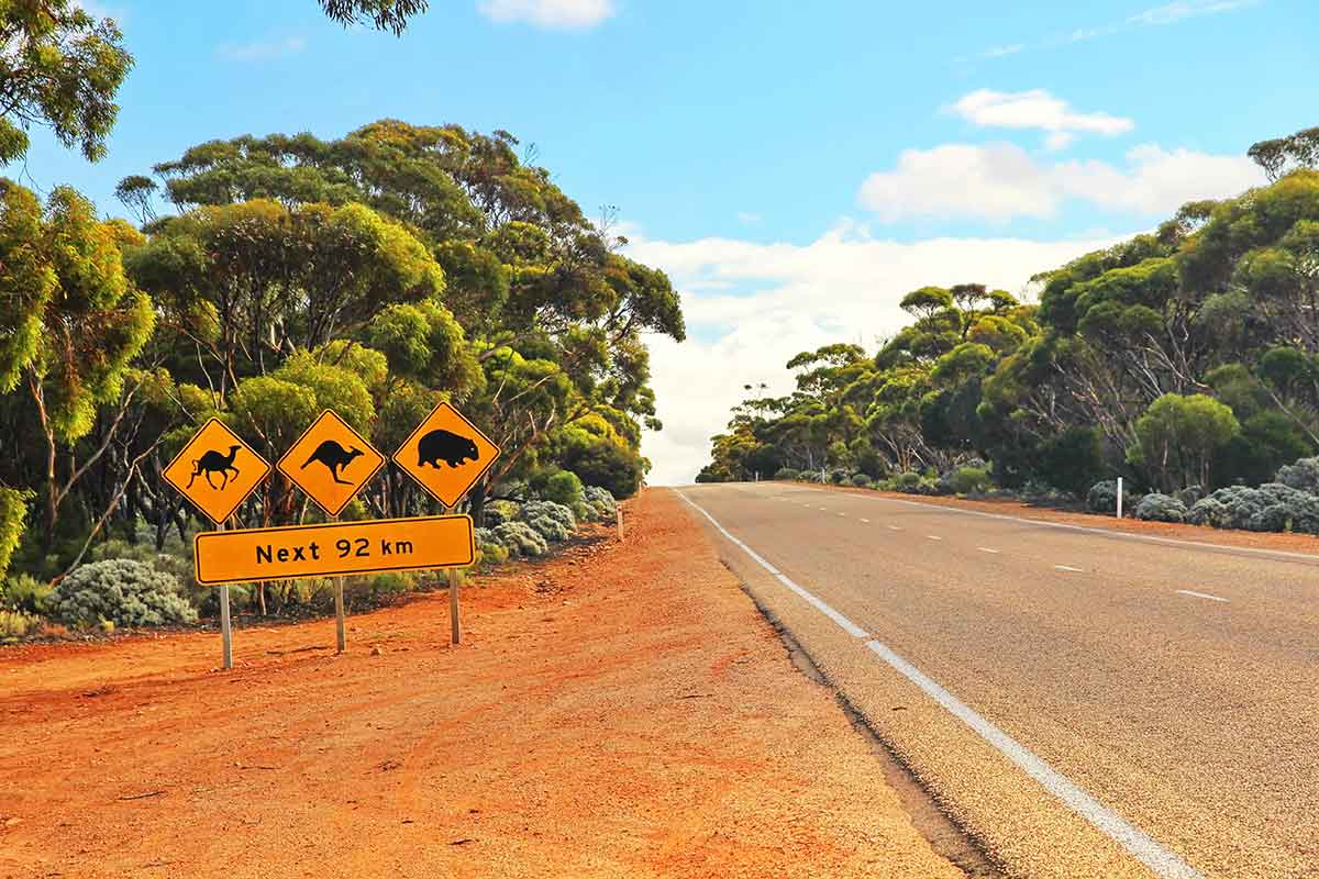 Strada deserta del outback australiano
