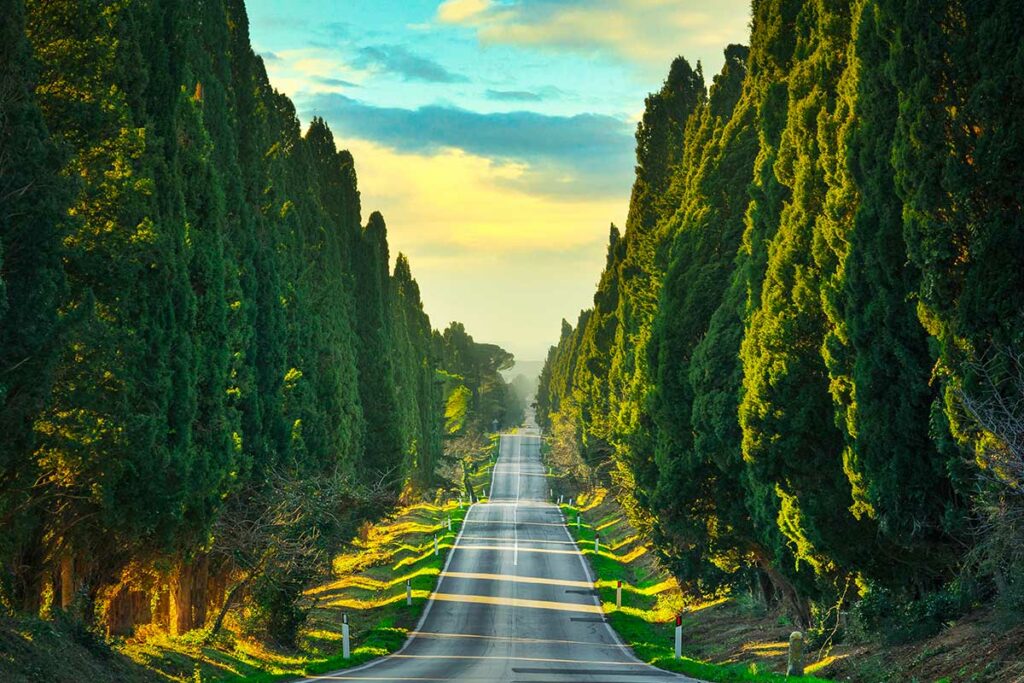 strada dei cipressi toscana