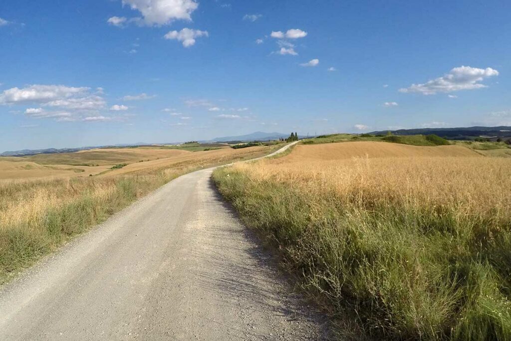 strade bianche dell eroica