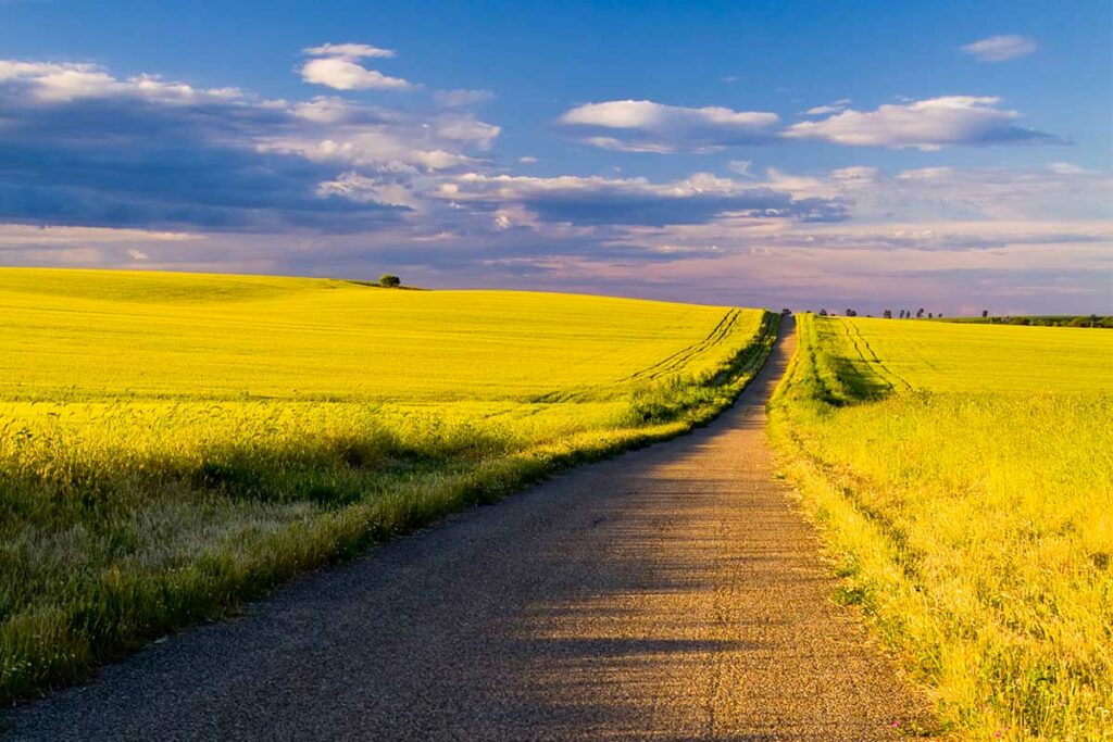 tratto di strada collinare puglia