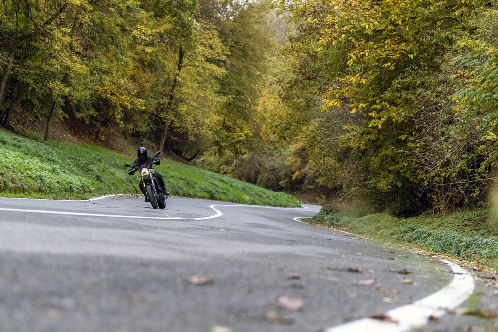 Benelli Leoncino 800