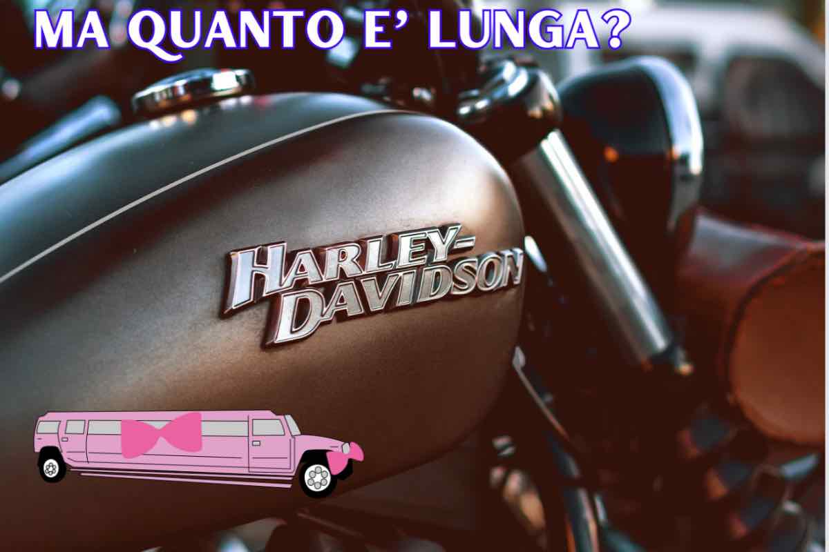 limousine harley davidson