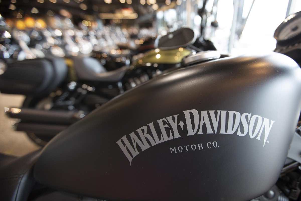 Harley economiche