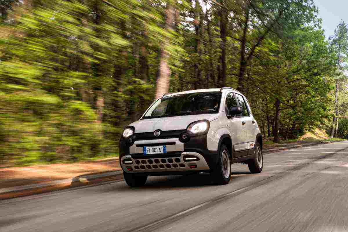 fiat panda a meno di 8.000 euro