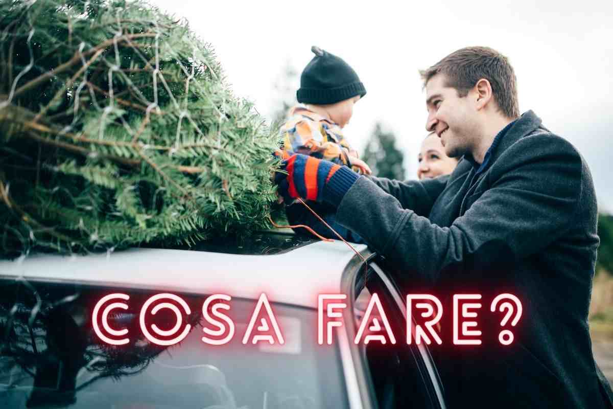 Come trasportare l'albero di Natale in auto: i consigli da seguire