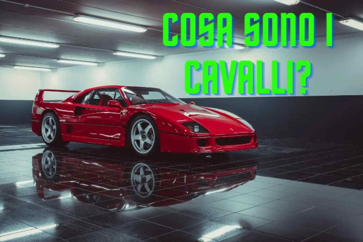 Cavalli auto, cosa sono