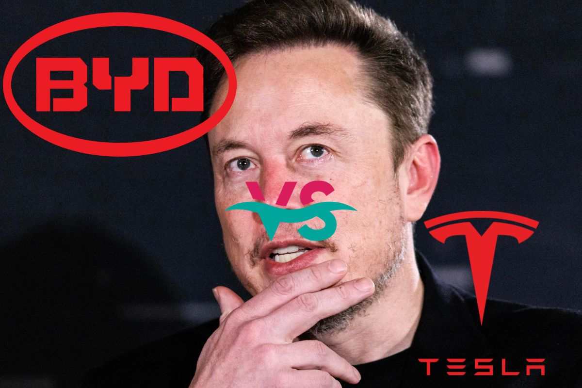 Elon Musk BYD Tesla auto elettriche vendite