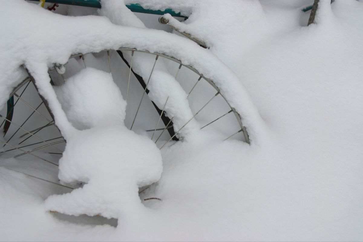 moto sulla neve non si può ecco perché