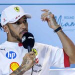 L'opinione di Hamilton
