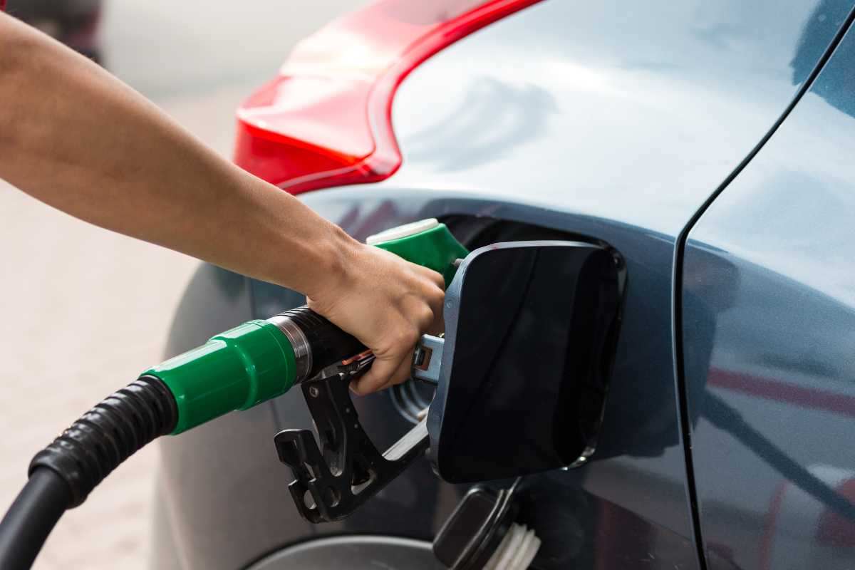 La Legge contro le auto termiche
