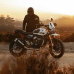 Triumph entry level gioiello