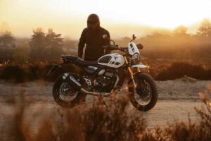 Triumph entry level gioiello