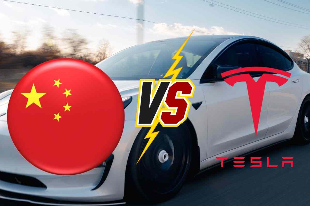 Auto Cina Tesla BYD Dolphin Surf