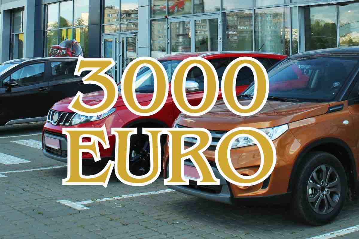Seat Ibiza auto usata
