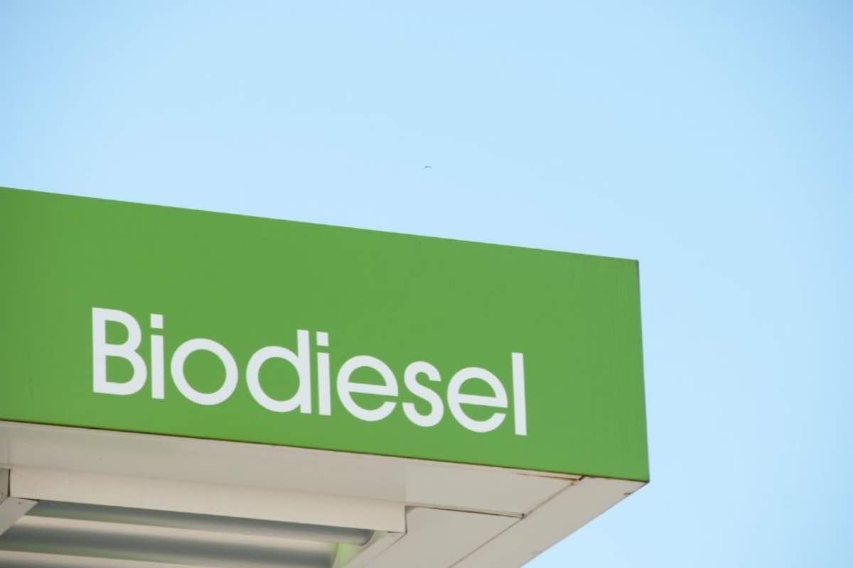 Biodiesel auto compatibili