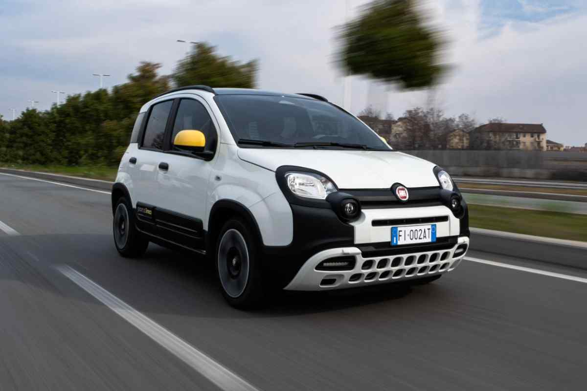 I numeri della FIAT Panda