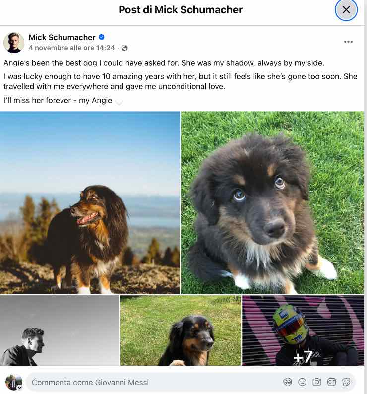 Mick Schumacher lutto morta la cagnolina Angie