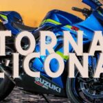 suzuki Hayabusa moto novità