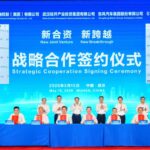 stellantis dongfeng