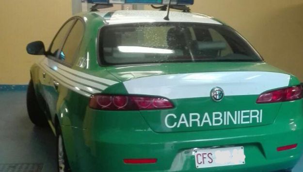 Auto verde Carabinieri