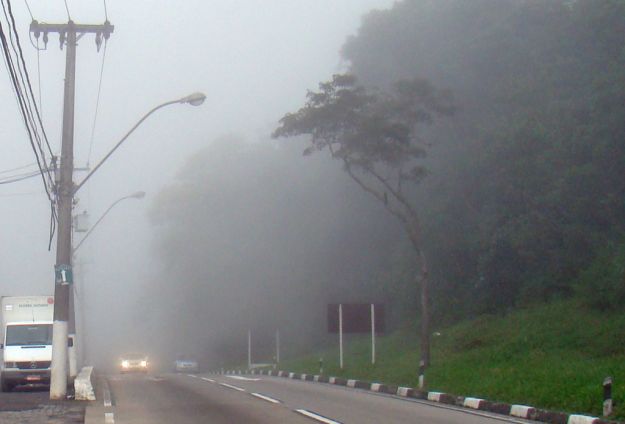 guidare con la nebbia
