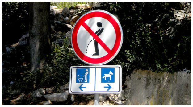 segnali stradali divertenti (14)